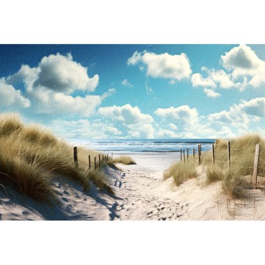 Nederlandse kust met duinen